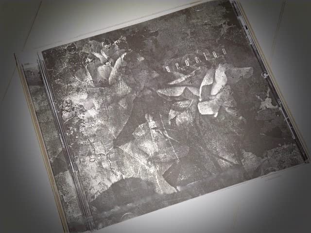 黒夢 SADS 切り抜き 約220ページ Amazon.co.jp: SADS 会場限定 erosion 黒夢 清春 配布 : おもちゃ